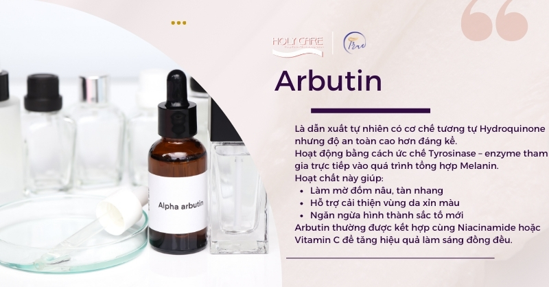 Arbutin – Ức chế enzyme hình thành sắc tố